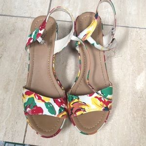 Primary flower colored wedges